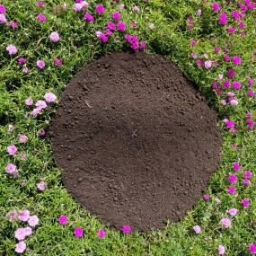 Phân Viên- Bột  50-50% 