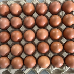 Trứng gà size 20