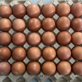 Trứng Gà Size 22